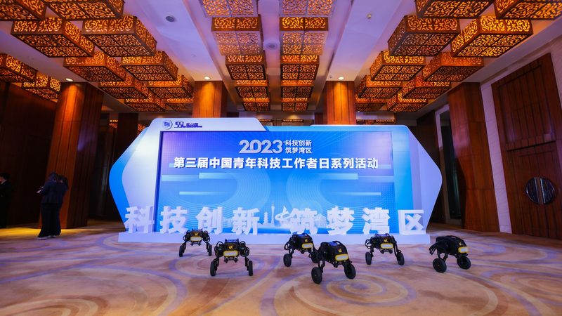 互联网技术基础教程：从入门到实践**